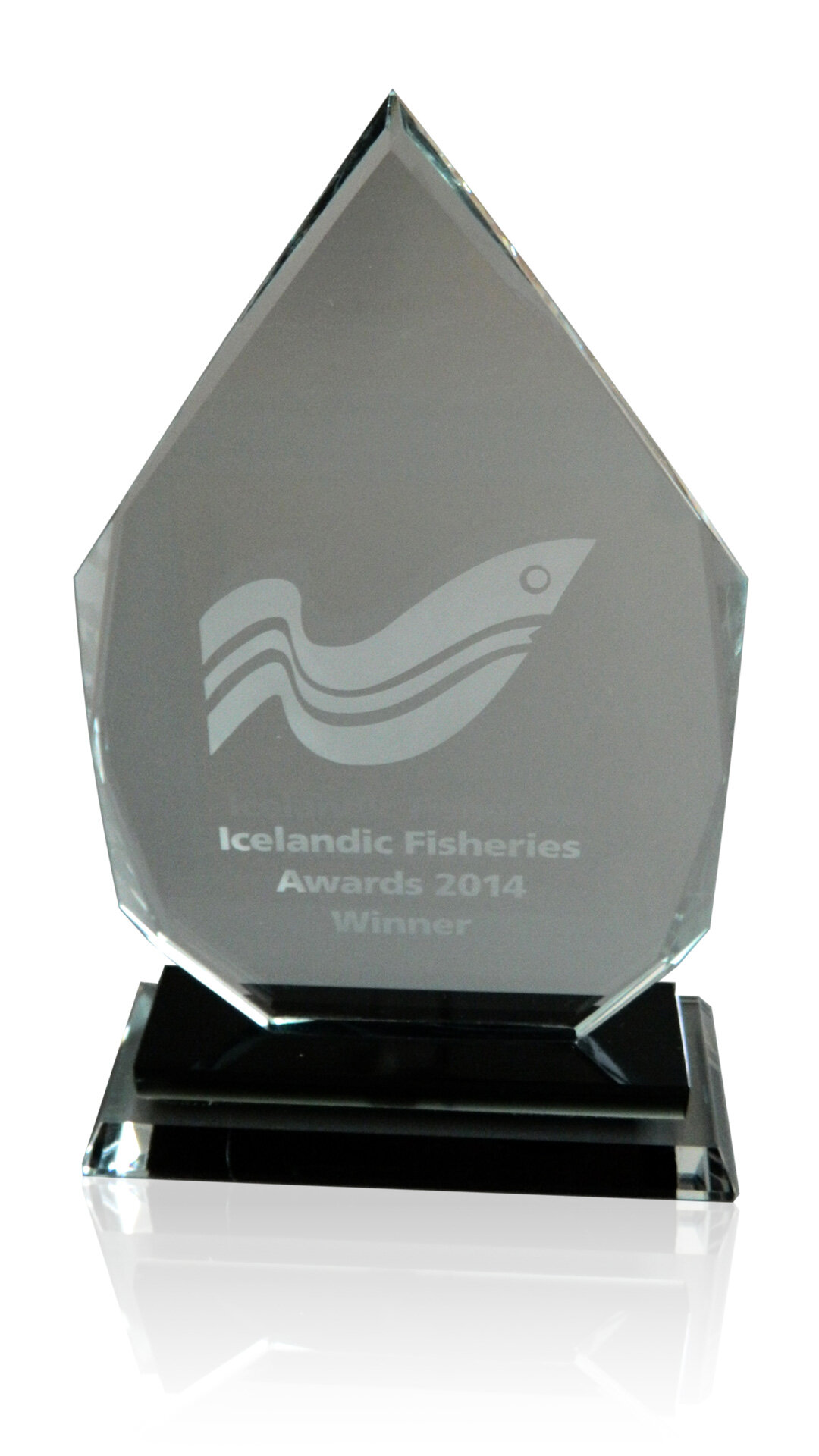 Craemer Award IslandicFisheries