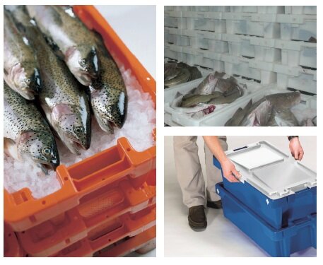 Fish boxes