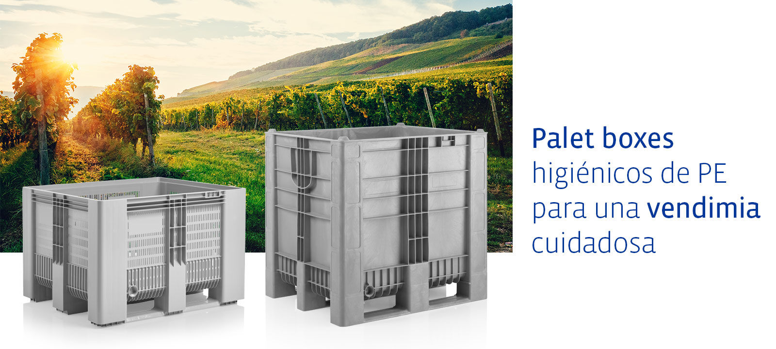 Palet boxes para vendimia cuidadosa