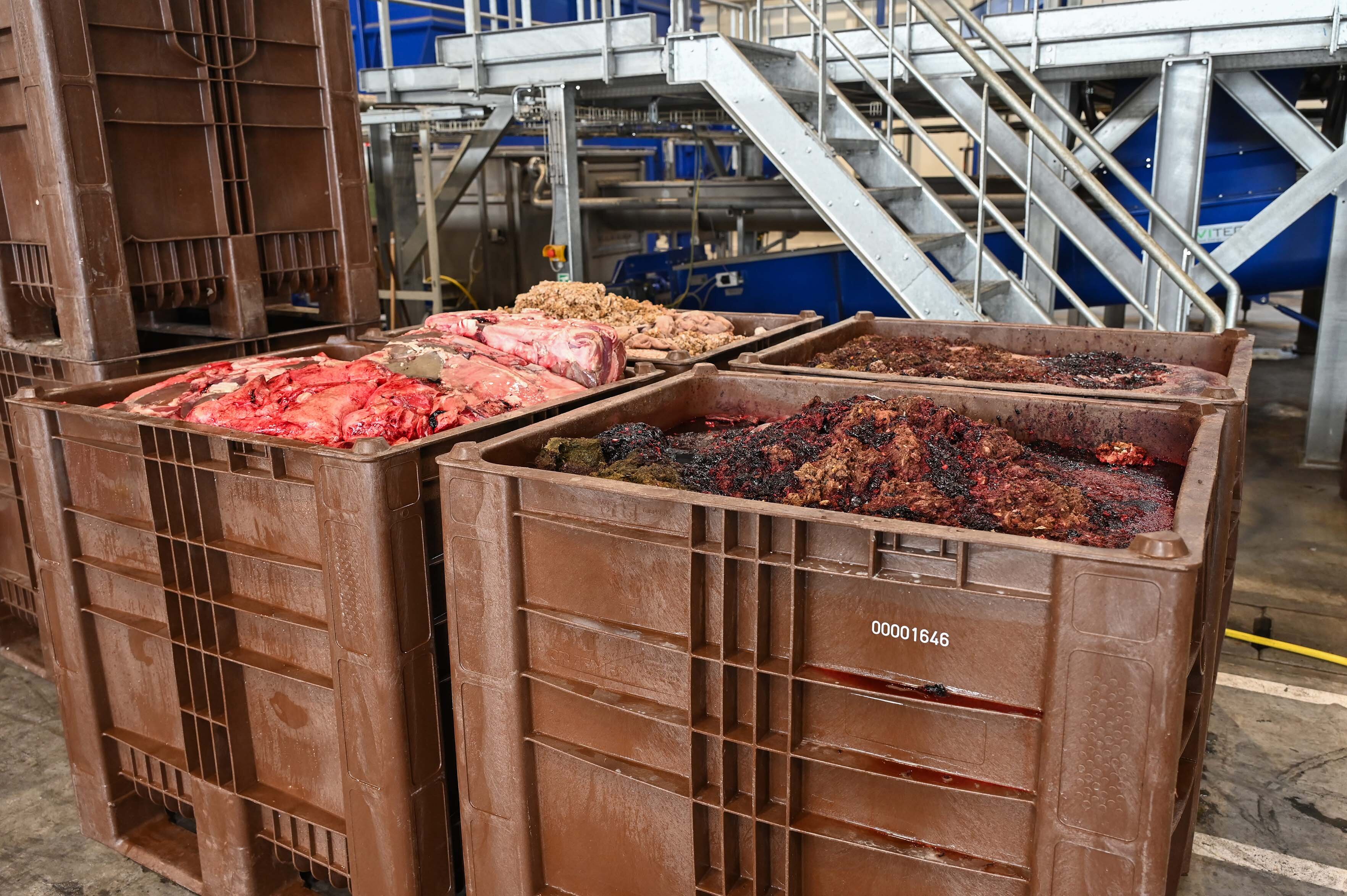 Biodegradable waste in four CB3 High bulk bins