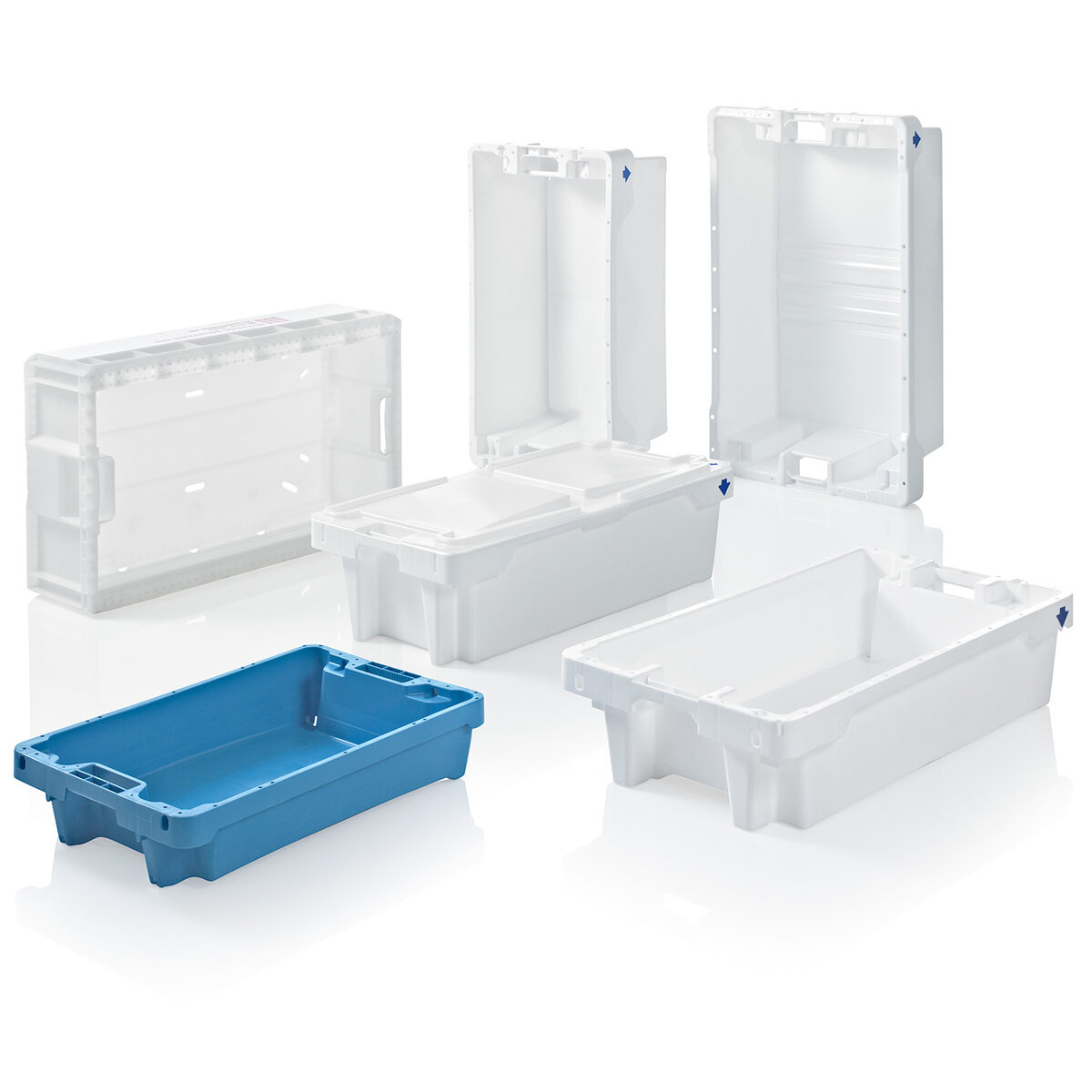Fish Boxes