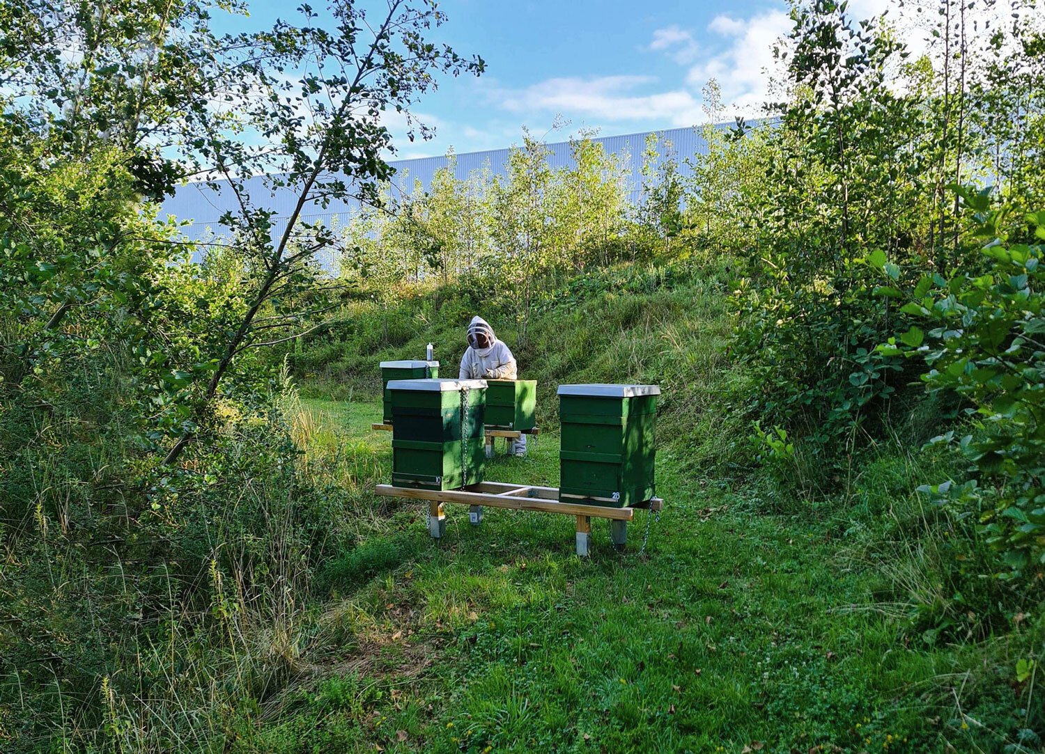 Beekeeper with beehive in the green