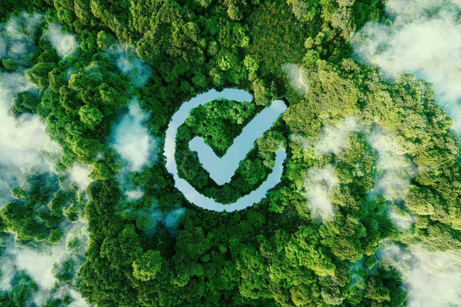 Green deciduous forest from above with blue hook icon as river