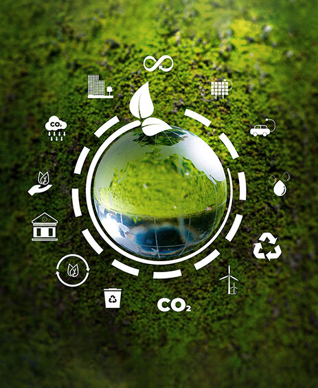 Moss surface with white icons in a circle around a central glass globe