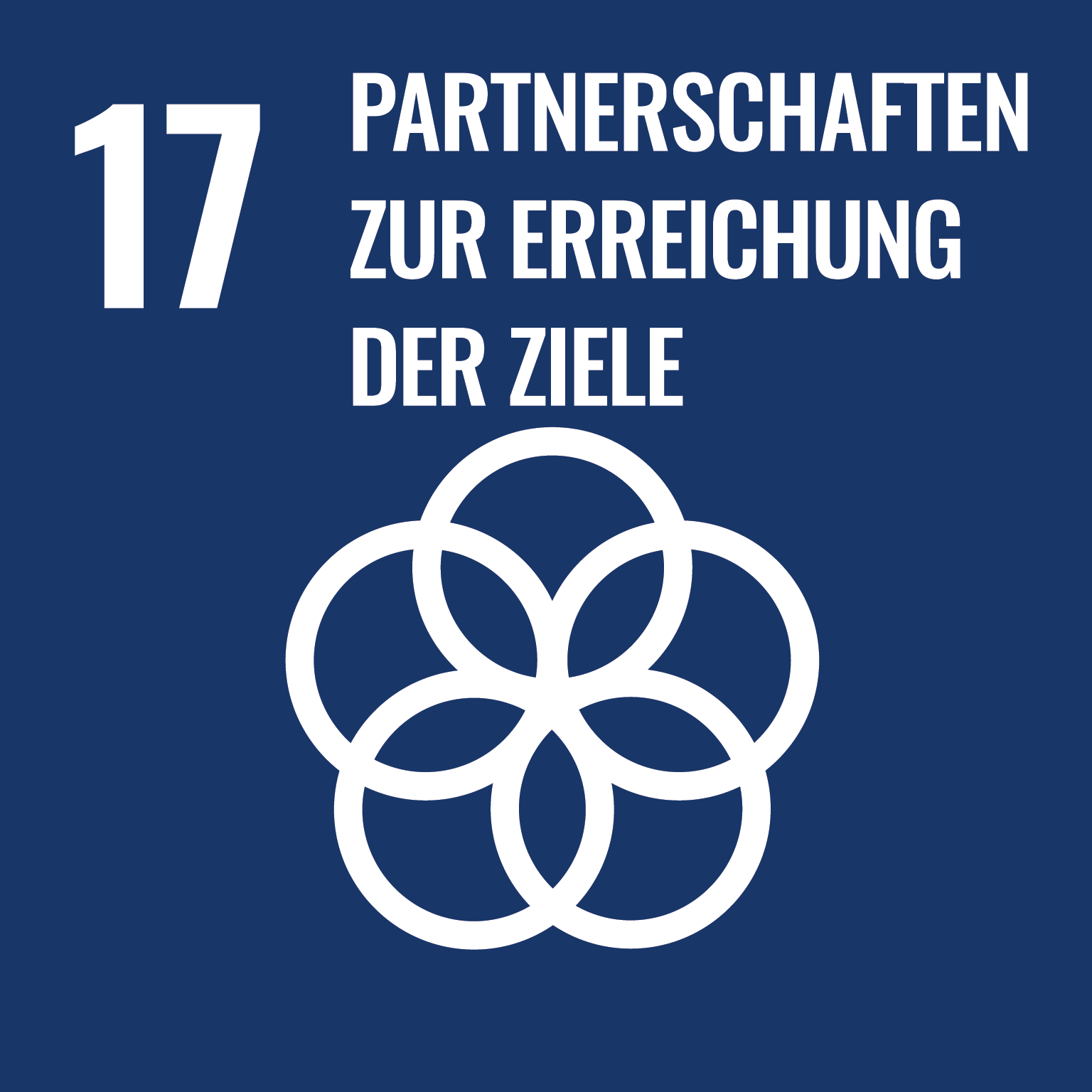 Ziel 17: Partnerschaften zur Erreichung der Ziele Ziel 17: Partnerschaften zur Erreichung der Ziele