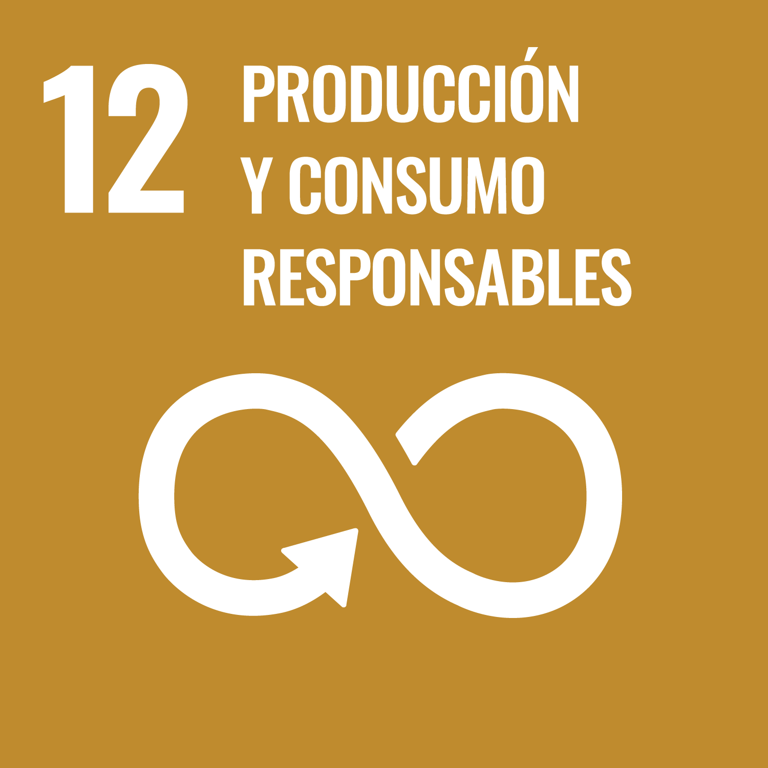 Objetivo 12: Producción y consumo responsables