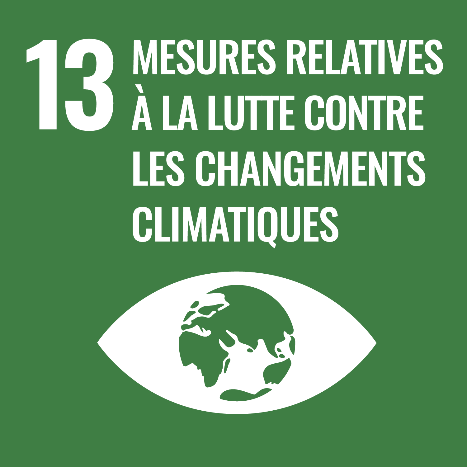 Objectif 13: Mesures relatives à la litte contre les changements climatiques