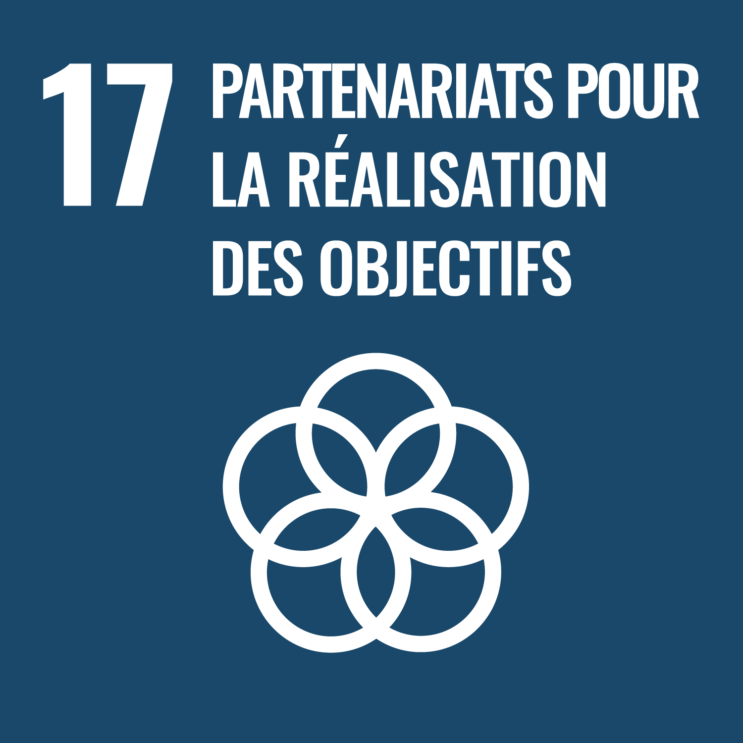 Objectif 17: Partenariats pour la réalisation des objectifs