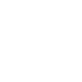 Icon Industry