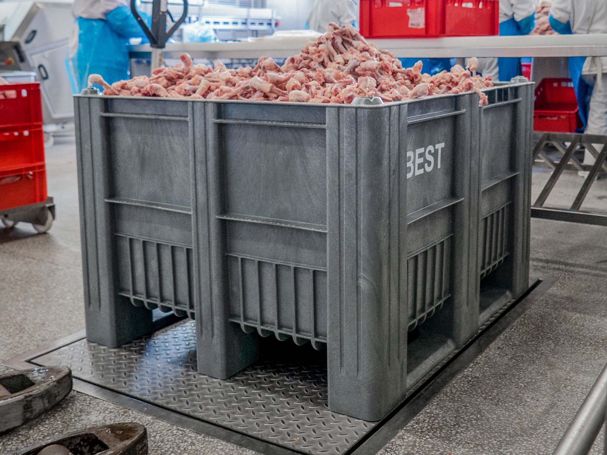 CB3 filled with meat